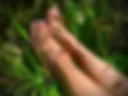 Worship my feet