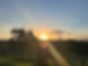 SUNSET☀