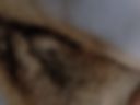 my wet hairy pussy
