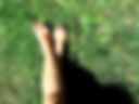 outside legs and sandals 222
