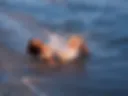 In love with sea