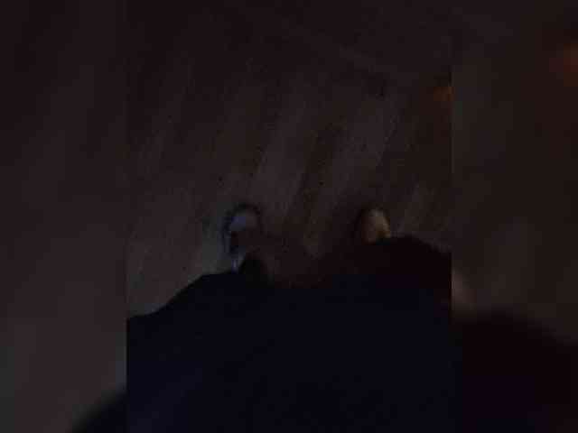 diawollo666