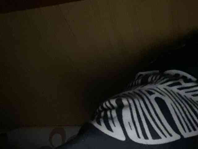 Rainie