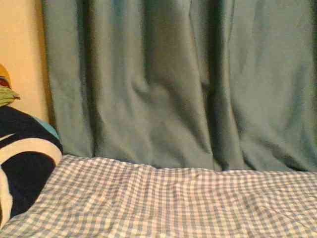 Horny-vyxen