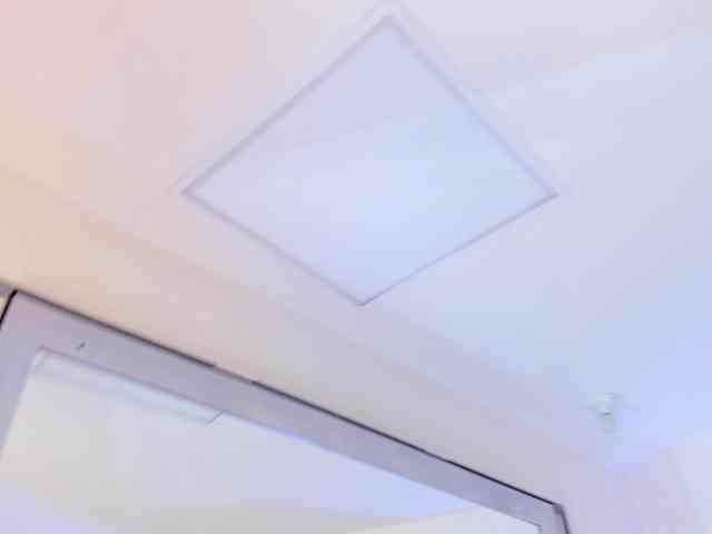 cocodamore