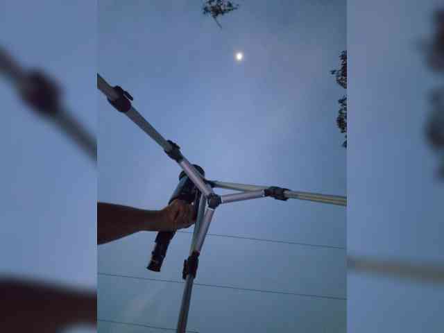 TheAlieh