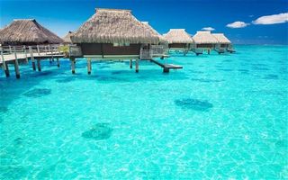 holiday 