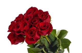 Roses for Queen.