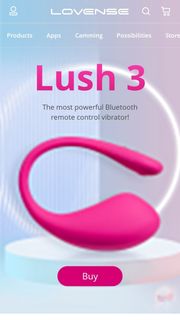 Help me buy a lovense?