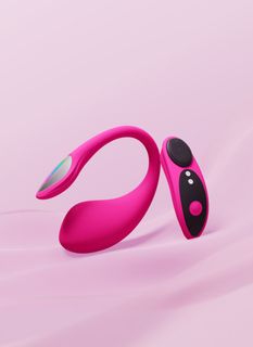 interactive toy ?