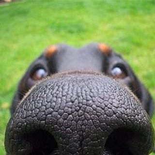 dfsfsdfsd
