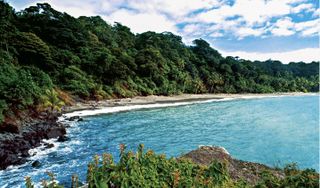 A trip to my favorite island in Colombia ? ?️?