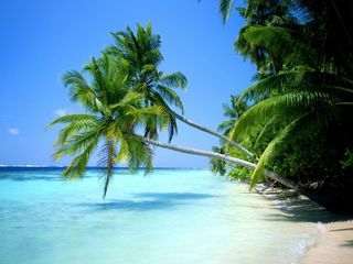 A trip to the beach