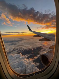 Travel