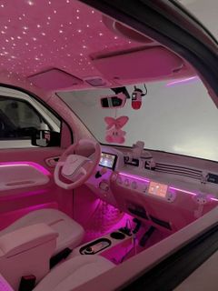 Pink Car