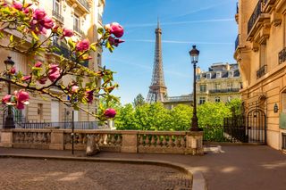 Trip to Paris