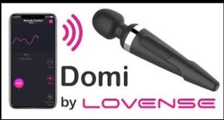 toy domi