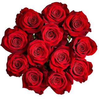 lots of roses