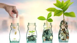 Business Investment