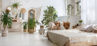 Build the Home of My Dreams