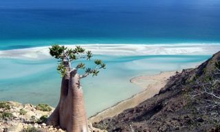 Travelling all around the world