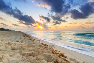 MY DREAM VACATION