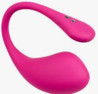 interactive toy