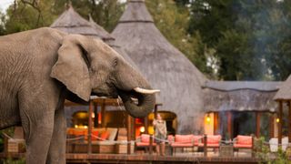 my most anticipated trip