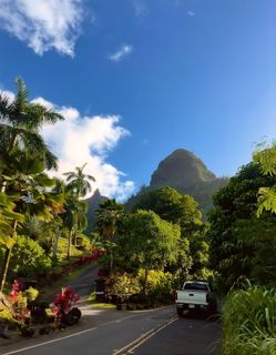 HAWAI TRIP