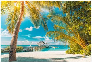 MY DREAM TRIP