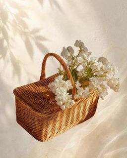 PICNIC