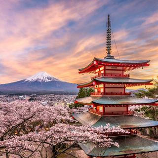 ✨Trip to Japan