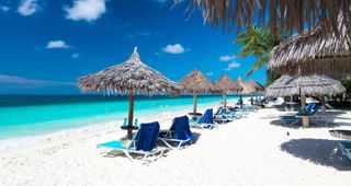 My dream trip