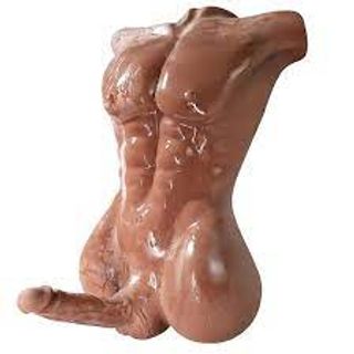 TORSO