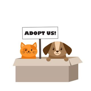 Help the pet fundations