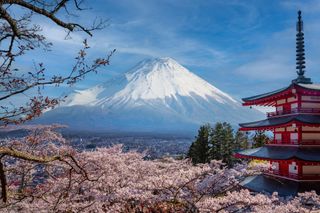 Dream trip to Japan